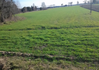 działka na sprzedaż - Widawa, Patoki