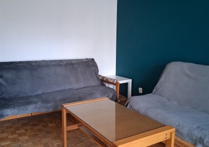 mieszkanie na wynajem - Łódź, Śródmieście, Manhattan