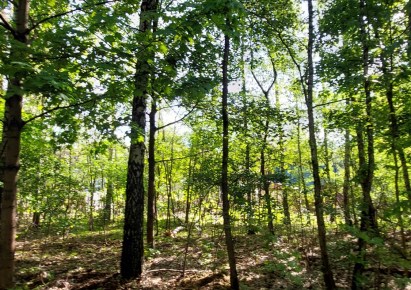 działka na sprzedaż - Zgierz (gw), Jedlicze B, Leśna